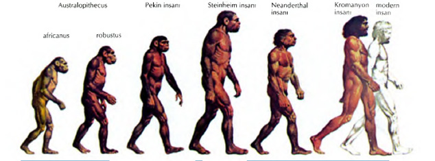NEANDERTAL ADAMI-KROMANYON ADAMI- MAYMUN VE İNSAN- İNSANIN DEĞİŞİMİ