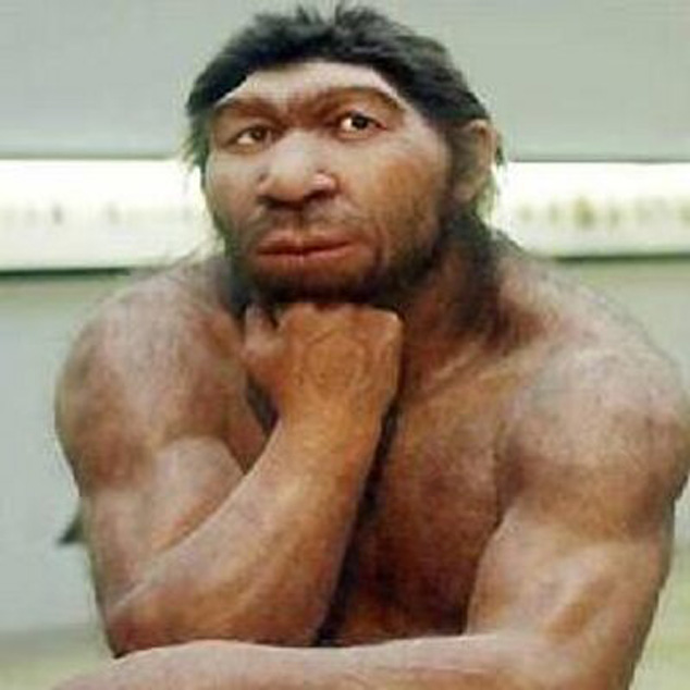 NEANDERTAL ADAMI- PİTEKHANTROPUS- İNSAN EVRİMİ- İNSAN KONUŞUYOR -İLETİŞİM